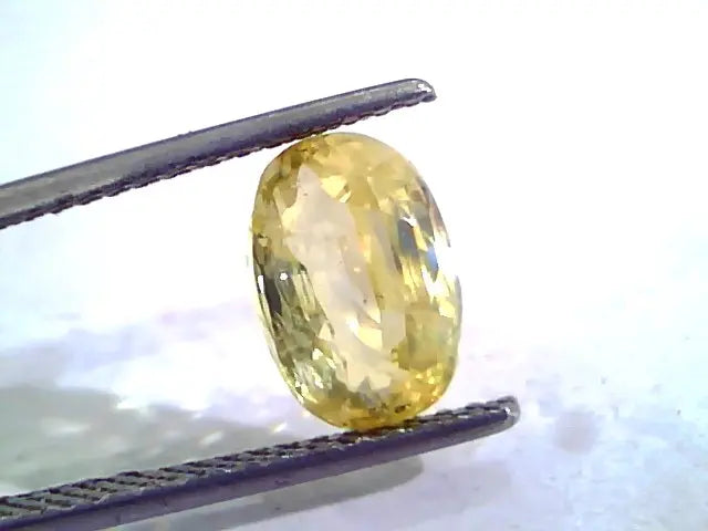 3.50 Ct Unheated Untreated Natural Ceylon Yellow Sapphire Gems