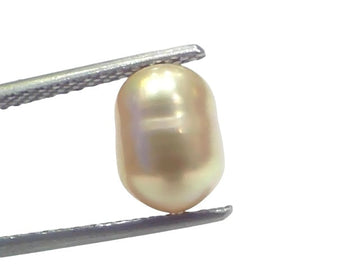 3.52 Ct Certified Natural Venunjula Real Sea Pearl Real Moti For Moon