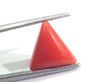 3.56 Ct 5.9 Ratti Natural Italian Triangle Red Coral Moonga Gemstone