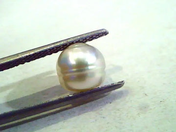 3.53 Ct Certified Natural Venunjula Real Pearl/Real Moti