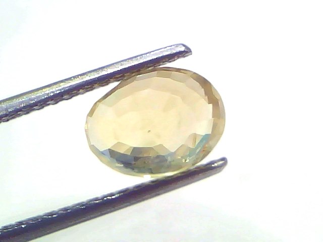 3.53 Carat Certified Ceylon Yellow Sapphire Pukhraj Stone, oval-shaped, faceted, held by tweezers against a white background.
