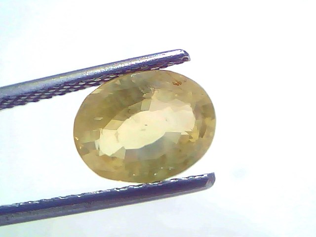 3.53 Carat Certified Ceylon Yellow Sapphire Pukhraj Stone, oval cut, held with tweezers against a light background.
