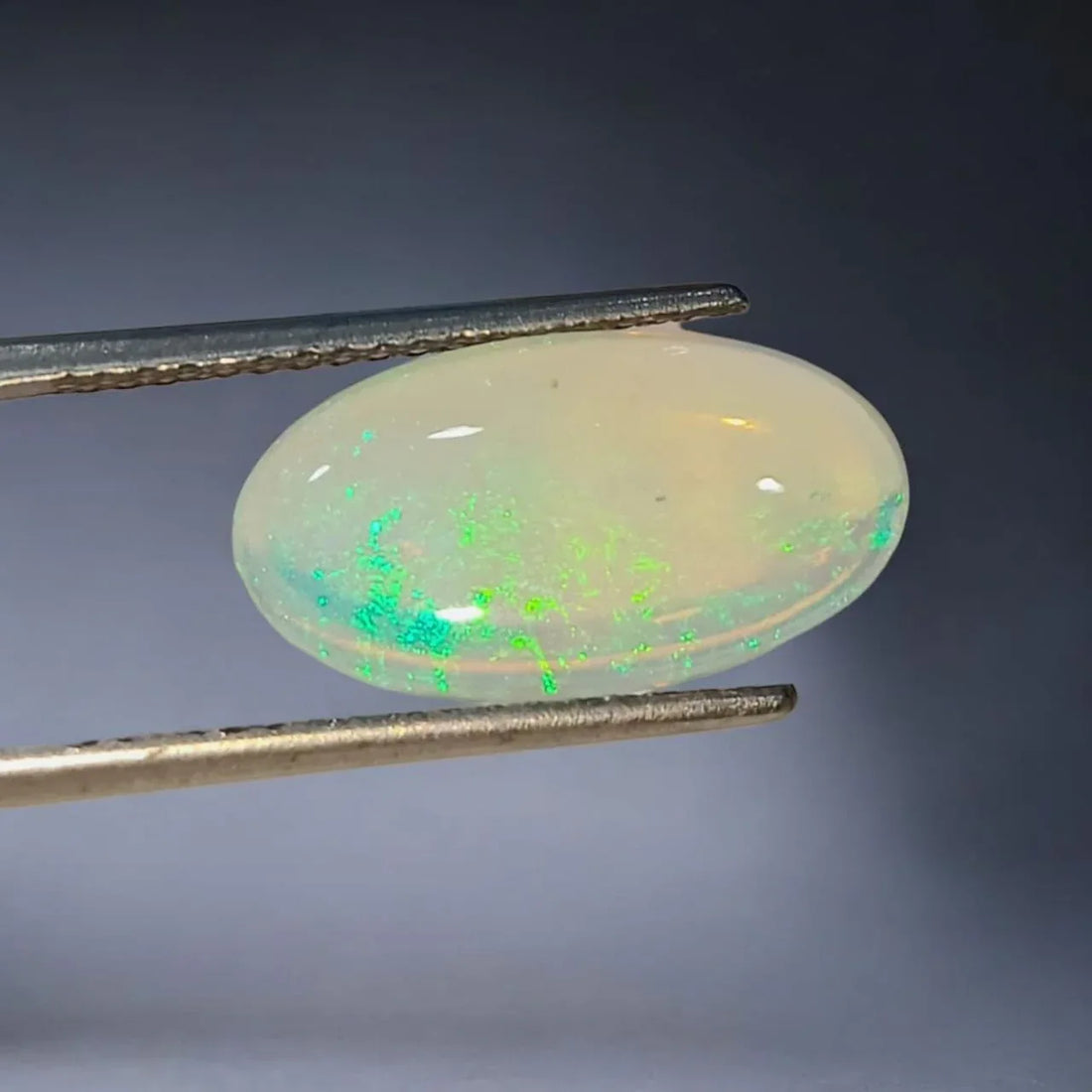 3.55 Ct Untreated Natural Australian Double Fire Opal Premium AAAAA - Venus Gems