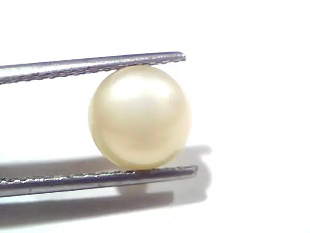 3.54 Ct Certified Natural Venunjula Real Sea Pearl, Real Moti