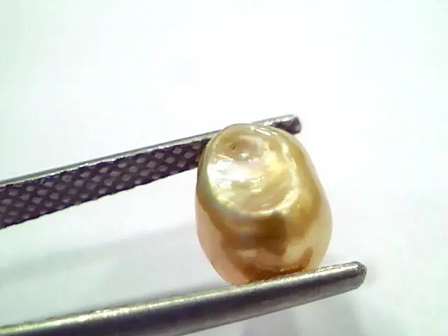 3.55 Ct Certified Natural Venunjula Real Sea Pearl, Real Moti