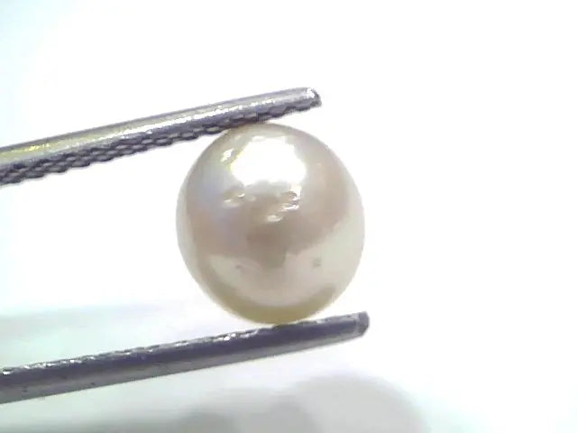 3.71 Ct Natural Certified Real South Sea Pearl Certified Moti