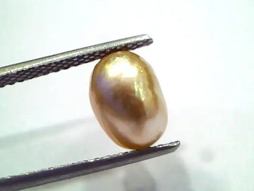3.55 Ct Certified Natural Venunjula Real Sea Pearl, Real Moti