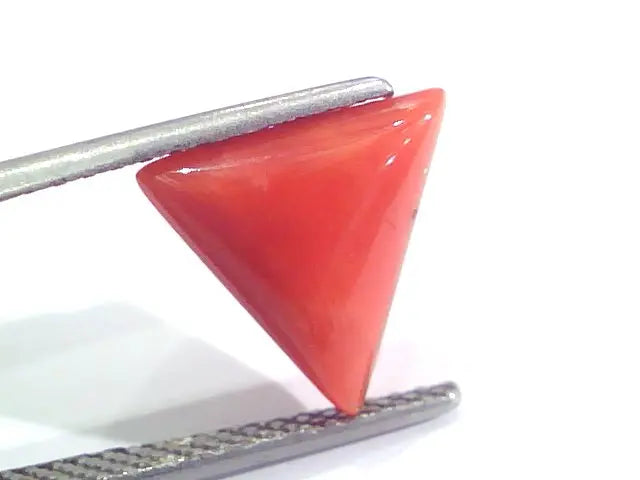 3.57 Ct 5.9 Ratti Natural Italian Triangle Red Coral Moonga Gemstone