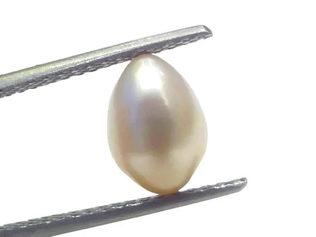 3.57 Ct Certified Natural Venunjula Real Sea Pearl Real Moti For Moon - Venus Gems
