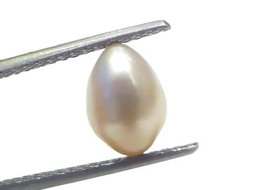 3.57 Ct Certified Natural Venunjula Real Sea Pearl Real Moti For Moon - Venus Gems