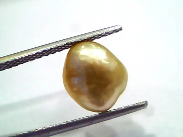3.57 Ct Certified Natural Venunjula Real Sea Pearl, Real Moti