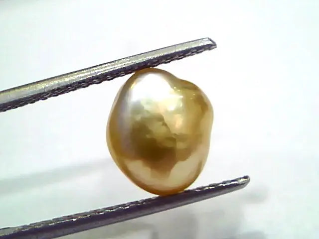 3.57 Ct Certified Natural Venunjula Real Sea Pearl, Real Moti