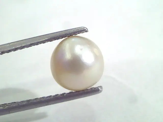 3.60 Ct Natural Certified Real South Sea Pearl,Certified Moti