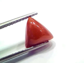 3.65 Ct 6.08 Ratti Natural Italian Triangle Red Coral Moonga Gemstone