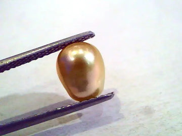 3.60 Ct Certified Natural Venunjula Real Pearl/Real Moti