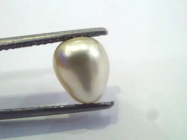 3.60 Ct Certified Natural Venunjula Real Pearl/Real Moti For Moon