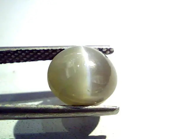 3.61 Ct Certified Untreted Natural Chrysoberyl Cats Eye,Lehsunia