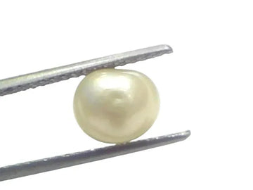 3.64 Ct Certified Natural Venunjula Real Sea Pearl Real Moti For Moon - Venus Gems