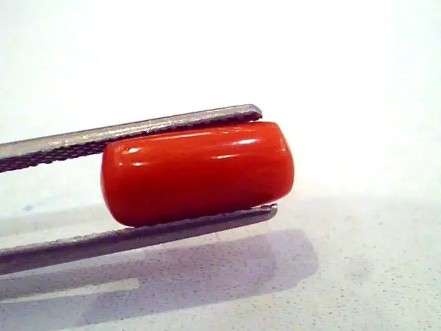3.64 Carat Natural Red Coral italian Gemstone,Real Moonga