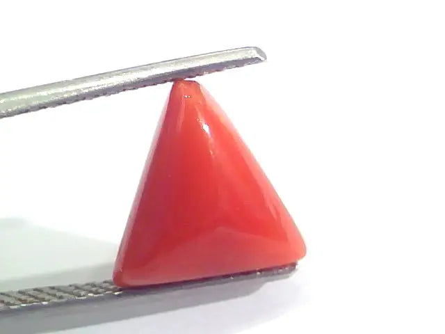 3.68 Ct 6.1 Ratti Natural Italian Triangle Red Coral Moonga Gemstone