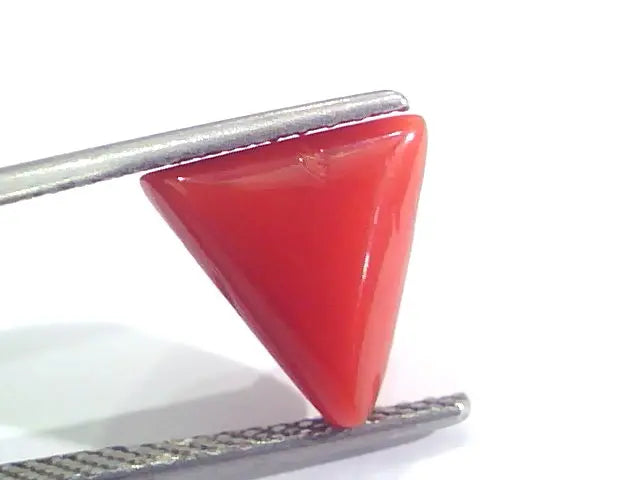 3.68 Ct 6.1 Ratti Natural Italian Triangle Red Coral Moonga Gemstone