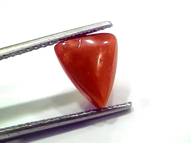 3.75 Ct 6.25 Ratti Natural Italian Triangle Red Coral Moonga Gemstone