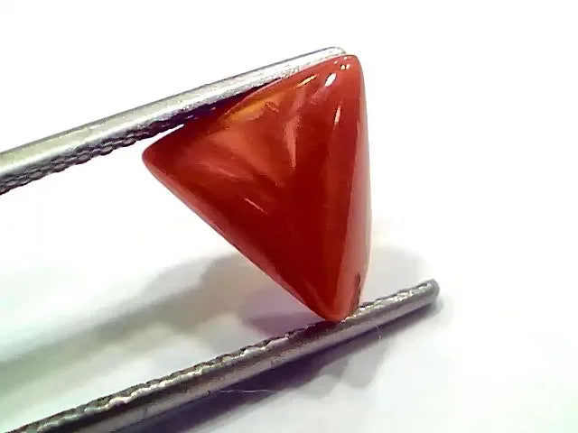 3.74 Ct 4.10 Ratti Natural Italian Triangle Red Coral Moonga Gemstone - Venus Gems
