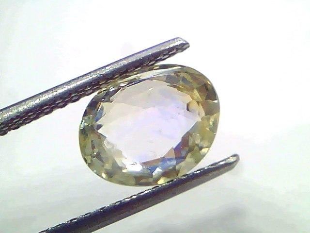 3.65 Ct Certified Unheated Natural Ceylon Yellow Blue Sapphire Pukhraj, oval cut, held with tweezers, showcasing clarity and 