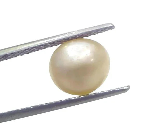 3.66 Ct Certified Natural Venunjula Real Sea Pearl Real Moti For Moon - Venus Gems