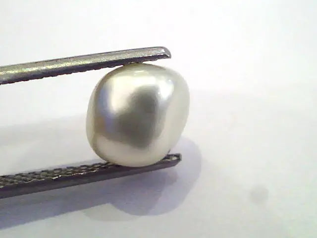 3.67 Ct Certified Natural Venunjula Real Pearl/Real Moti For Moon