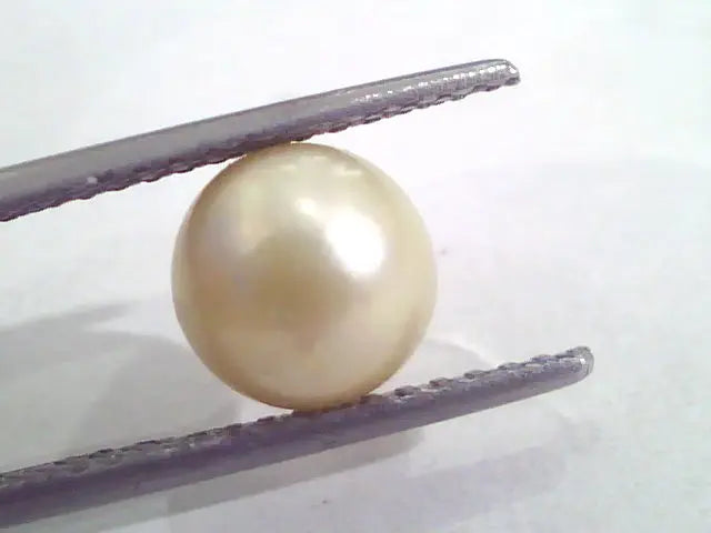 4.86 Ct Natural Certified Real South Sea Pearl,Certified Moti