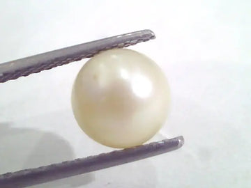 4.86 Ct Natural Certified Real South Sea Pearl,Moti