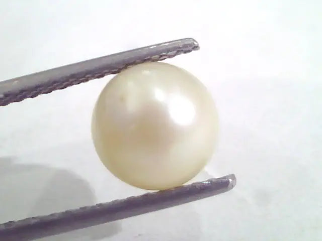 4.86 Ct Natural Certified Real South Sea Pearl,Moti