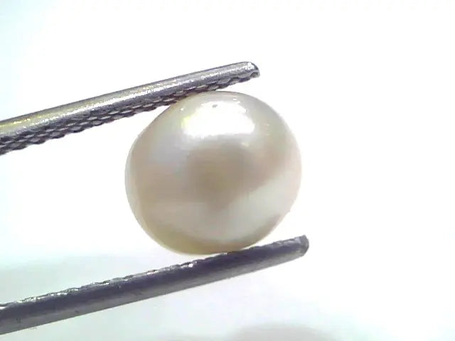3.93 Ct Natural Certified Real South Sea Pearl Certified Moti