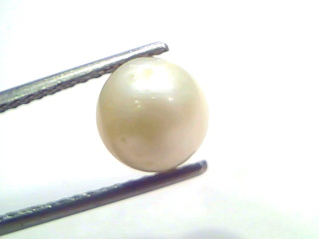 3.70 Carat Natural Certified Real South Sea Pearl (Moti) – 4.06 Ratti | Moon Gemstone
