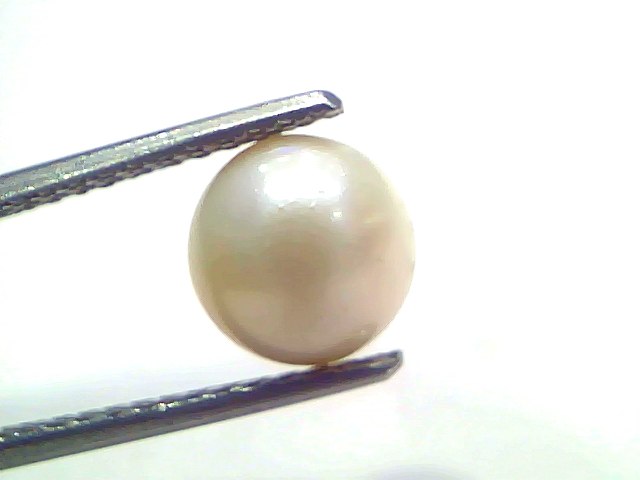 3.70 Carat Natural Certified Real South Sea Pearl (Moti) – 4.06 Ratti | Moon Gemstone