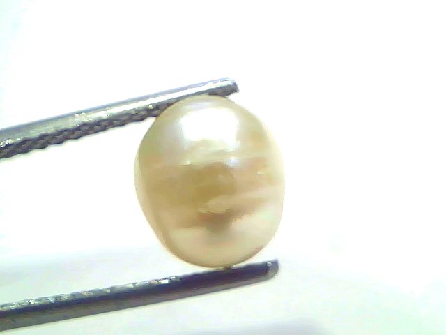 3.71 Carat Natural Certified Real South Sea Pearl (Moti) – 4.07 Ratti | Moon Gemstone
