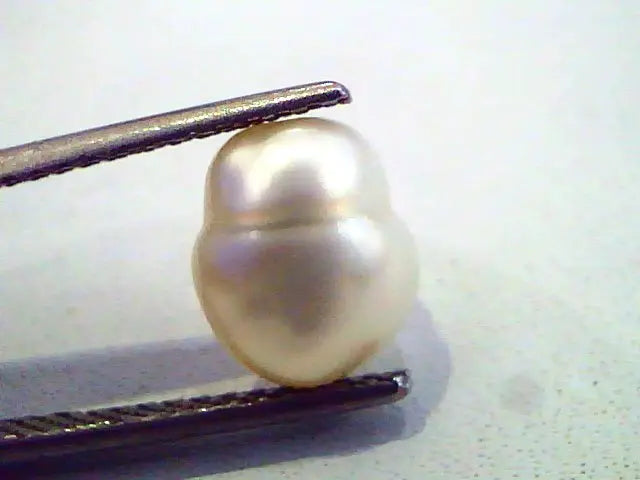 3.72 Ct Certified Natural Venunjula Real Pearl/Real Moti