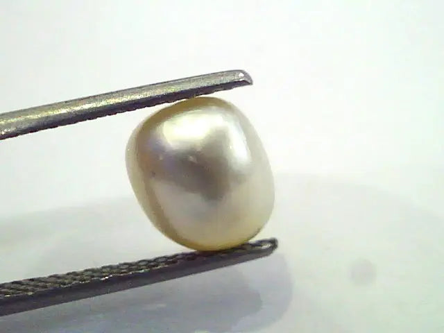 3.72 Ct Certified Natural Venunjula Real Pearl/Real Moti For Moon