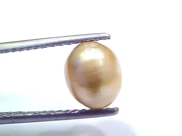 3.43 Ct 7.66 Chaw Natural Real Basra Pearl Moti Certified *RARE - Venus Gems