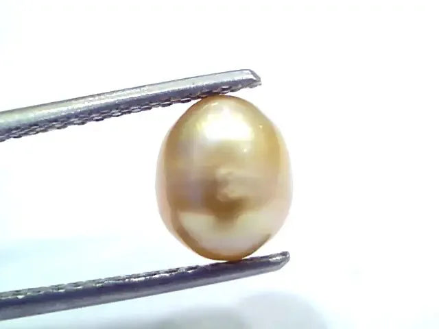 3.43 Ct 7.66 Chaw Natural Real Basra Pearl Moti Certified *RARE - Venus Gems