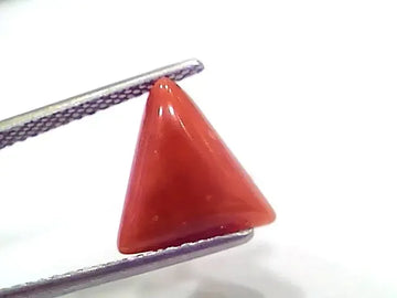 3.90 Ct 4.28 Ratti Natural Italian Triangle Red Coral Moonga Gemstone - Venus Gems