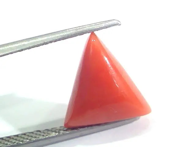 3.77 Ct 6.25 Ratti Natural Italian Triangle Red Coral Moonga Gemstone