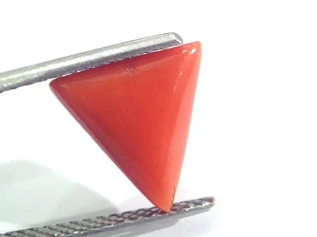 3.77 Ct 6.25 Ratti Natural Italian Triangle Red Coral Moonga Gemstone