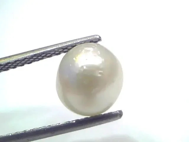 3.98 Ct Natural Certified Real South Sea Pearl Certified Moti - Venus Gems