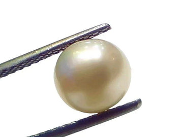3.80 Ct Natural Certified Real South Sea Pearl Certified Moti - Venus Gems