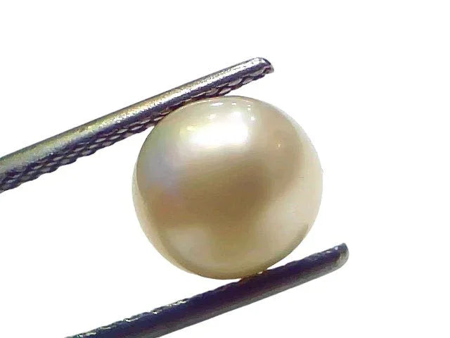 3.80 Ct Natural Certified Real South Sea Pearl Certified Moti - Venus Gems