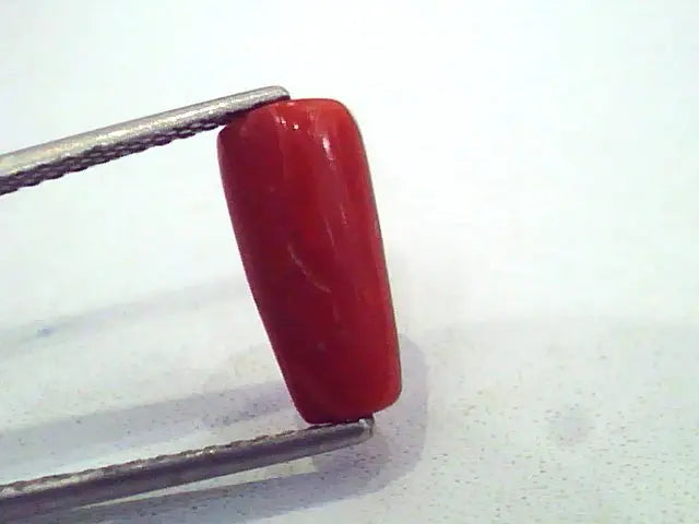 3.78 Carat Natural Italian Red Coral Moonga Gemstone