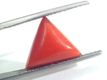 3.80 Ct 6.5 Ratti Natural Italian Triangle Red Coral Moonga Gems