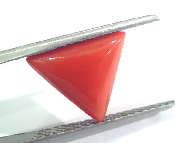 3.80 Ct 6.5 Ratti Natural Italian Triangle Red Coral Moonga Gems